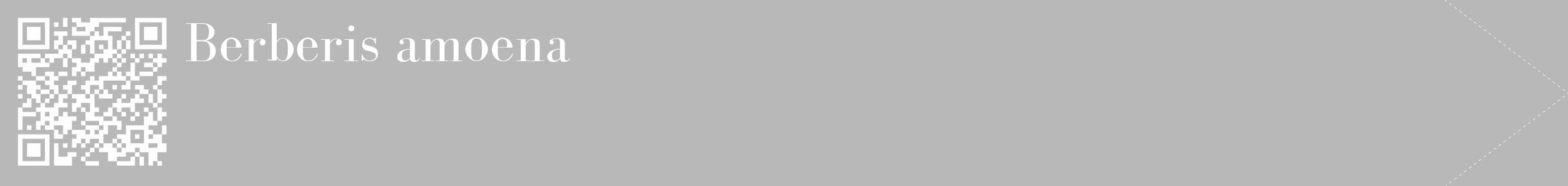 Étiquette de : Berberis amoena - format c - style blanche39_simple_simplebod avec qrcode et comestibilité