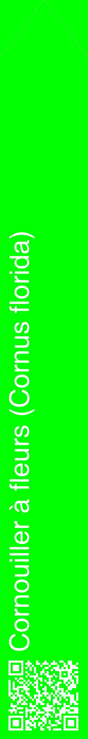 Étiquette de : Cornus florida - format c - style blanche16_simplehel avec qrcode et comestibilité
