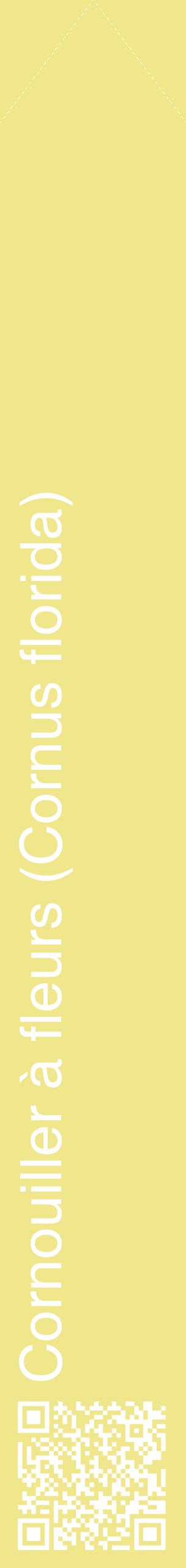 Étiquette de : Cornus florida - format c - style blanche20_simplehel avec qrcode et comestibilité