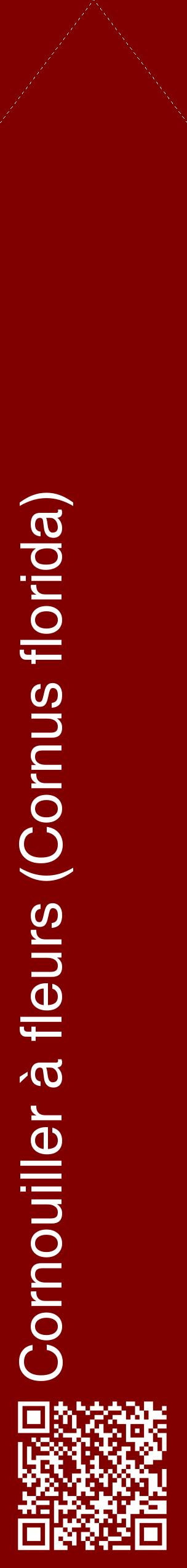 Étiquette de : Cornus florida - format c - style blanche29_simplehel avec qrcode et comestibilité