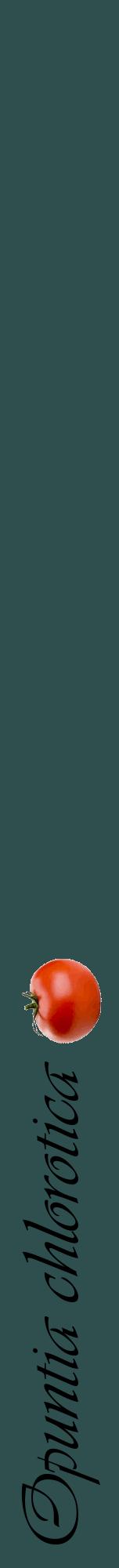 Étiquette de : Opuntia chlorotica - format a - style noire58viv avec comestibilité simplifiée