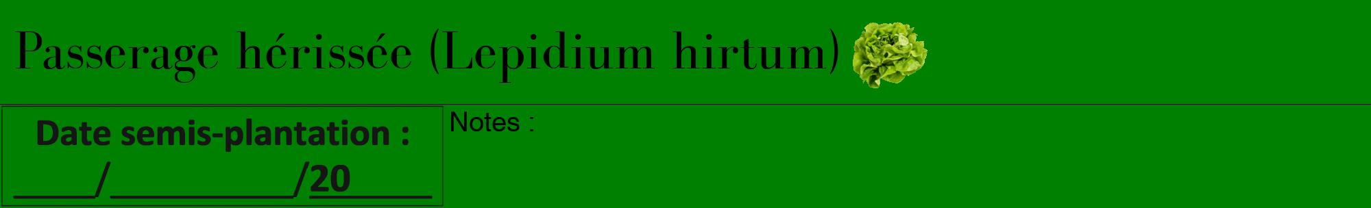 Étiquette de : Lepidium hirtum - format a - style noire9bod avec comestibilité simplifiée