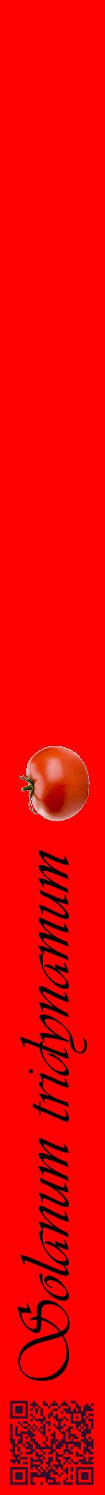 Étiquette de : Solanum tridynamum - format a - style noire27viv avec qrcode et comestibilité simplifiée