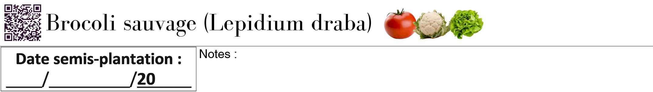 Étiquette de : Lepidium draba - format a - style noire60bod avec qrcode et comestibilité simplifiée
