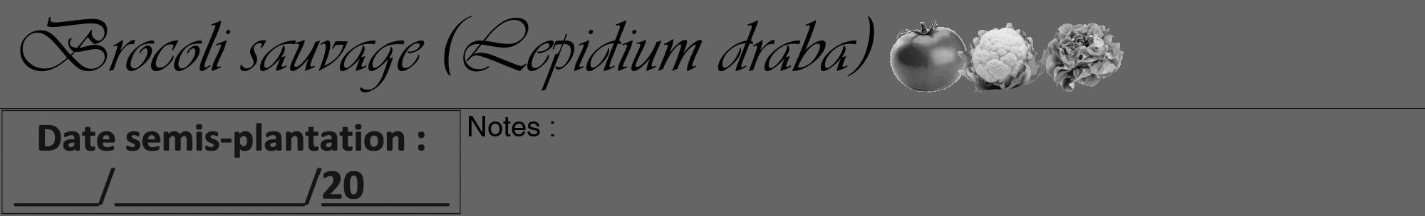 Étiquette de : Lepidium draba - format a - style noire32viv avec comestibilité simplifiée