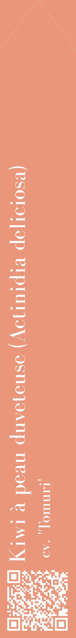 Étiquette de : Actinidia deliciosa cv. 'Tomuri' - format c - style blanche37_simplebod avec qrcode et comestibilité
