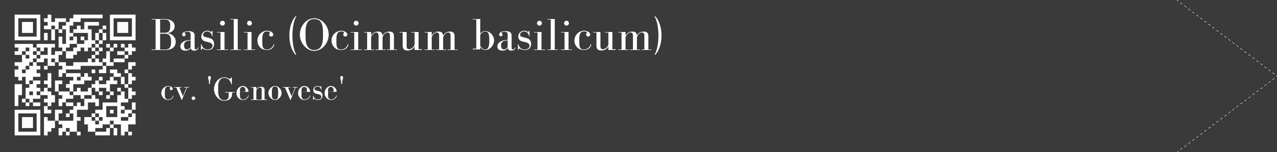 Étiquette de : Ocimum basilicum cv. 'Genovese' - format c - style blanche8_simple_simplebod avec qrcode et comestibilité