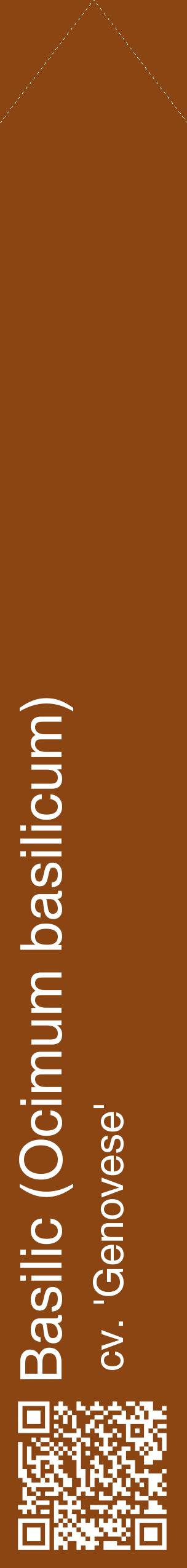 Étiquette de : Ocimum basilicum cv. 'Genovese' - format c - style blanche30_simplehel avec qrcode et comestibilité