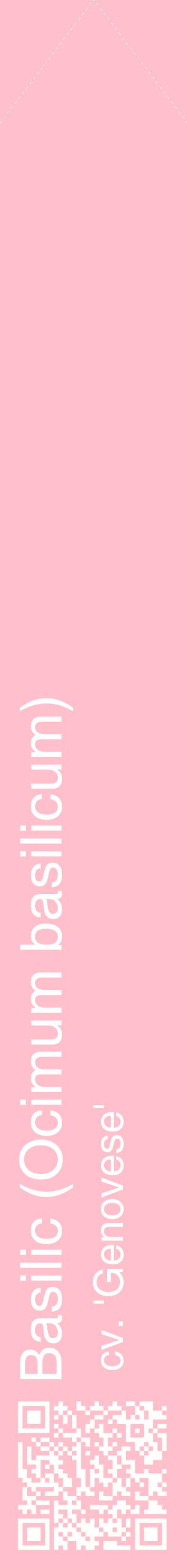 Étiquette de : Ocimum basilicum cv. 'Genovese' - format c - style blanche40_simplehel avec qrcode et comestibilité