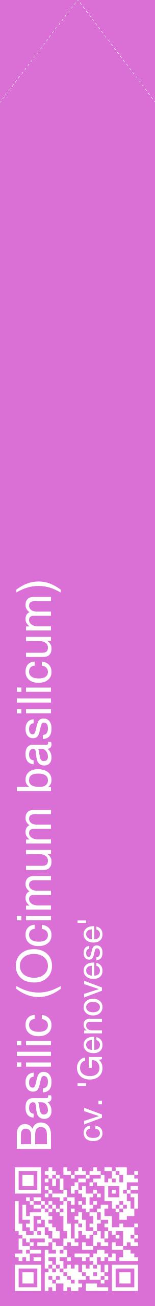 Étiquette de : Ocimum basilicum cv. 'Genovese' - format c - style blanche52_simplehel avec qrcode et comestibilité