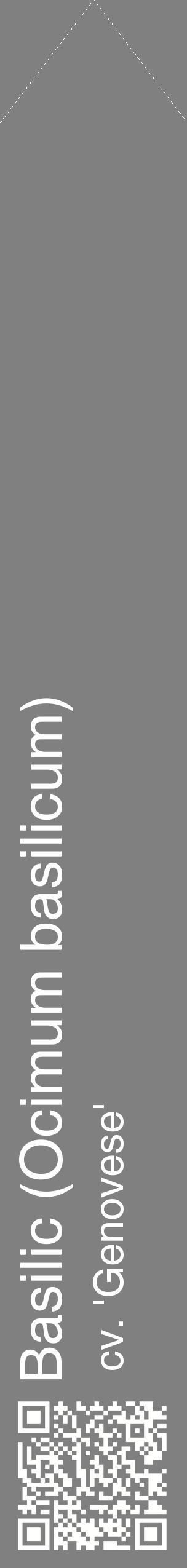 Étiquette de : Ocimum basilicum cv. 'Genovese' - format c - style blanche57_simplehel avec qrcode et comestibilité