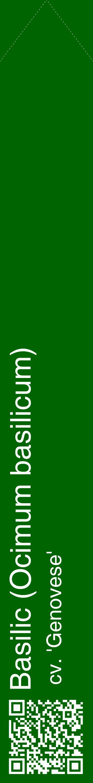 Étiquette de : Ocimum basilicum cv. 'Genovese' - format c - style blanche8_simplehel avec qrcode et comestibilité