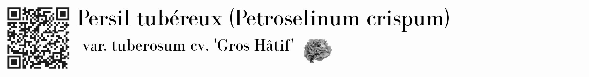 Étiquette de : Petroselinum crispum var. tuberosum cv. 'Gros Hâtif' - format c - style noire19_basique_basiquebod avec qrcode et comestibilité simplifiée