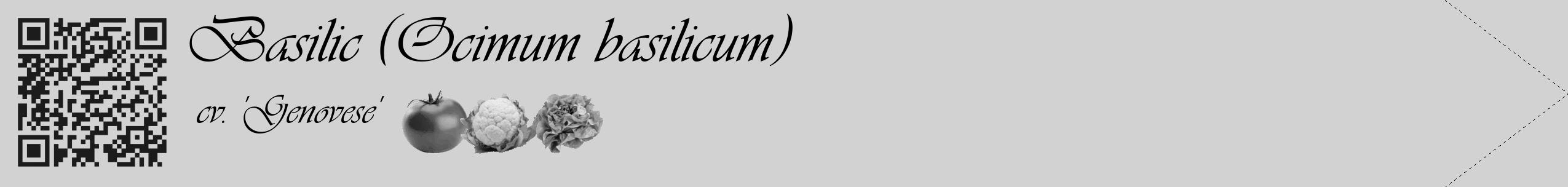 Étiquette de : Ocimum basilicum cv. 'Genovese' - format c - style noire14_simple_simpleviv avec qrcode et comestibilité simplifiée