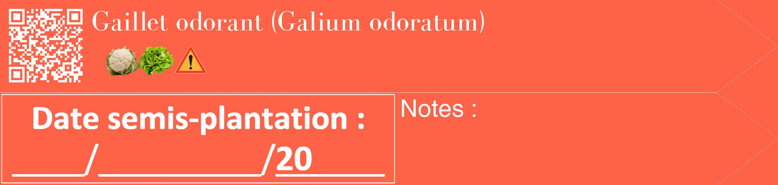 Étiquette de : Galium odoratum - format c - style blanche25_simple_simplebod avec qrcode et comestibilité simplifiée