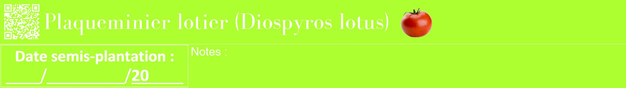Étiquette de : Diospyros lotus - format a - style blanche17bod avec qrcode et comestibilité simplifiée
