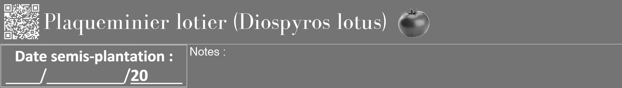 Étiquette de : Diospyros lotus - format a - style blanche26bod avec qrcode et comestibilité simplifiée