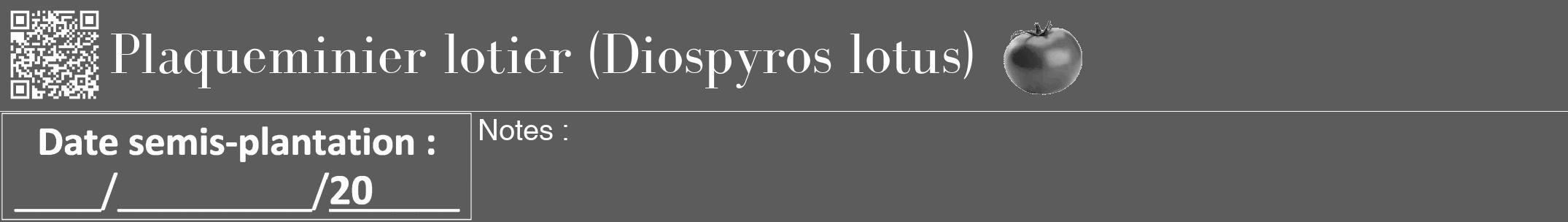 Étiquette de : Diospyros lotus - format a - style blanche49bod avec qrcode et comestibilité simplifiée