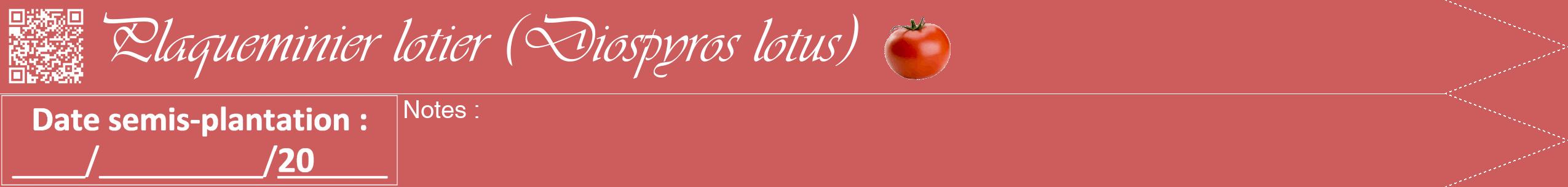 Étiquette de : Diospyros lotus - format b - style blanche35viv avec qrcode et comestibilité simplifiée