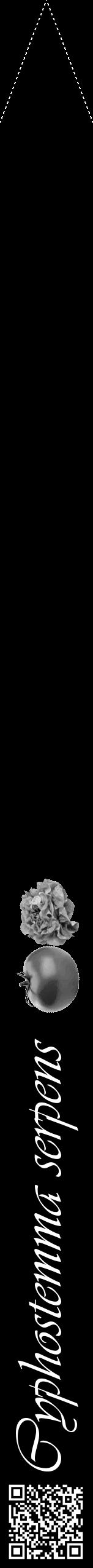 Étiquette de : Cyphostemma serpens - format b - style blanche59viv avec qrcode et comestibilité simplifiée - position verticale