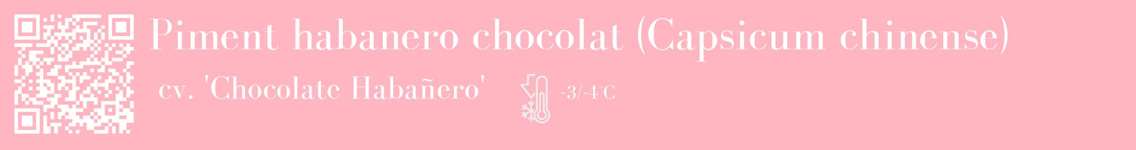 Étiquette de : Capsicum chinense cv. 'Chocolate Habañero' - format c - style blanche41_basique_basiquebod avec qrcode et comestibilité