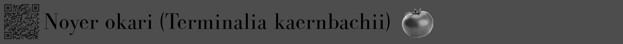 Étiquette de : Terminalia kaernbachii - format a - style noire28bod avec qrcode et comestibilité simplifiée