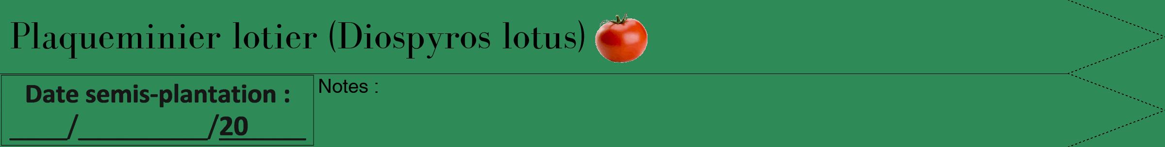 Étiquette de : Diospyros lotus - format b - style noire11bod avec comestibilité simplifiée
