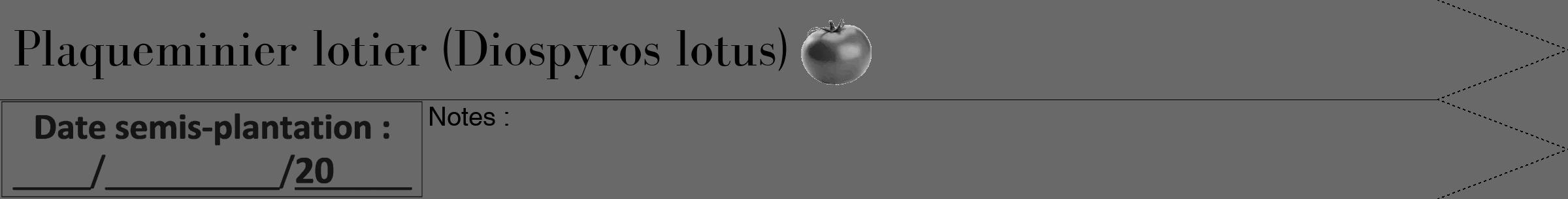 Étiquette de : Diospyros lotus - format b - style noire11bod avec comestibilité simplifiée