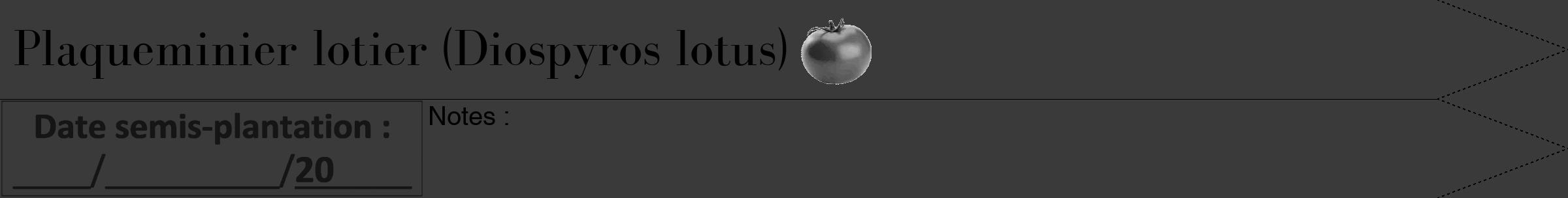 Étiquette de : Diospyros lotus - format b - style noire8bod avec comestibilité simplifiée