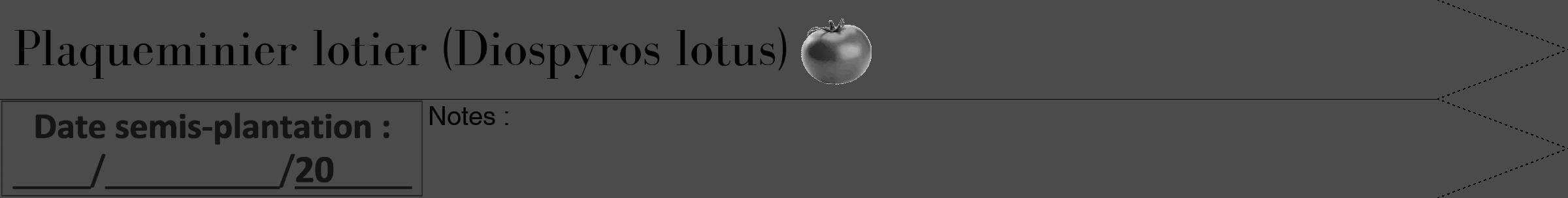 Étiquette de : Diospyros lotus - format b - style noire9bod avec comestibilité simplifiée