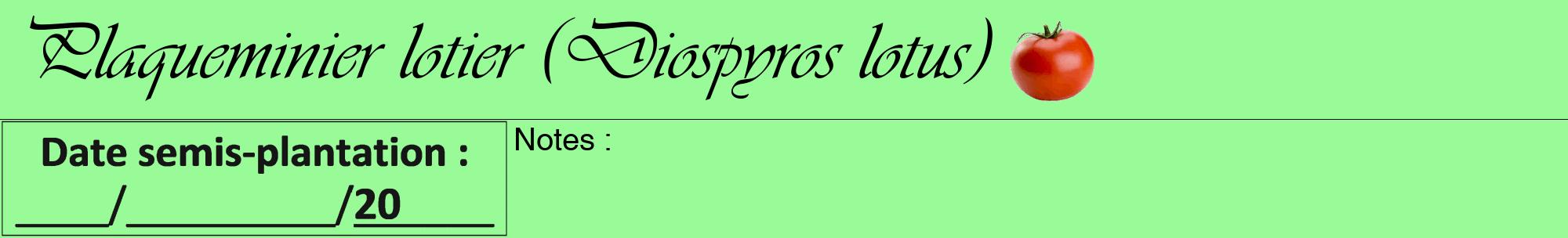 Étiquette de : Diospyros lotus - format a - style noire14viv avec comestibilité simplifiée
