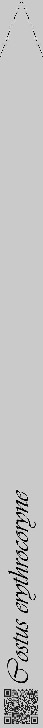 Étiquette de : Costus erythrocoryne - format b - style noire21viv avec qrcode et comestibilité - position verticale