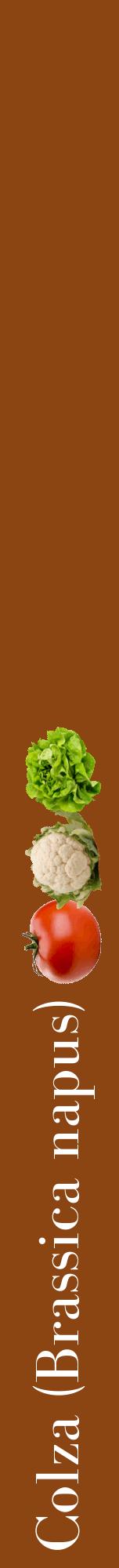 Étiquette de : Brassica napus - format a - style blanche30bod avec comestibilité simplifiée