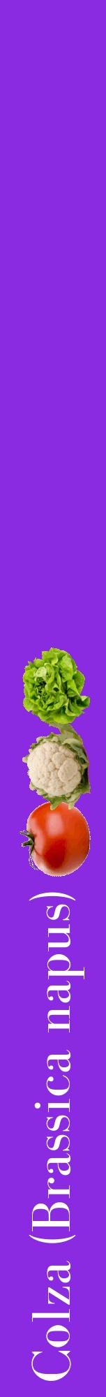 Étiquette de : Brassica napus - format a - style blanche49bod avec comestibilité simplifiée