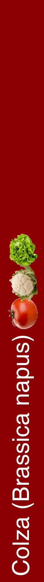 Étiquette de : Brassica napus - format a - style blanche34hel avec comestibilité simplifiée