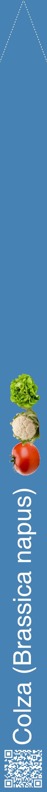 Étiquette de : Brassica napus - format b - style blanche5hel avec qrcode et comestibilité simplifiée