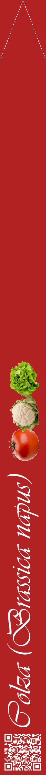 Étiquette de : Brassica napus - format b - style blanche28viv avec qrcode et comestibilité simplifiée