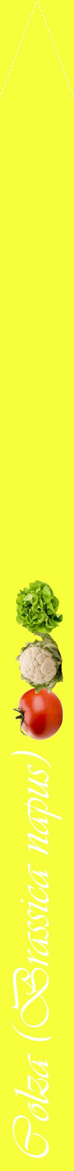 Étiquette de : Brassica napus - format b - style blanche18viv avec comestibilité simplifiée