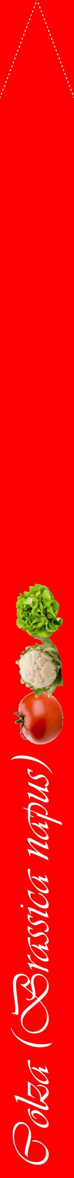 Étiquette de : Brassica napus - format b - style blanche27viv avec comestibilité simplifiée