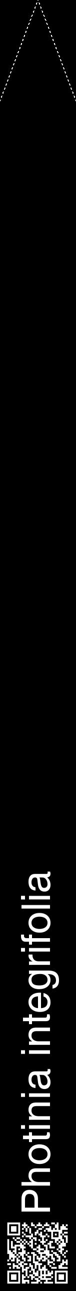 Étiquette de : Photinia integrifolia - format b - style blanche59hel avec qrcode et comestibilité