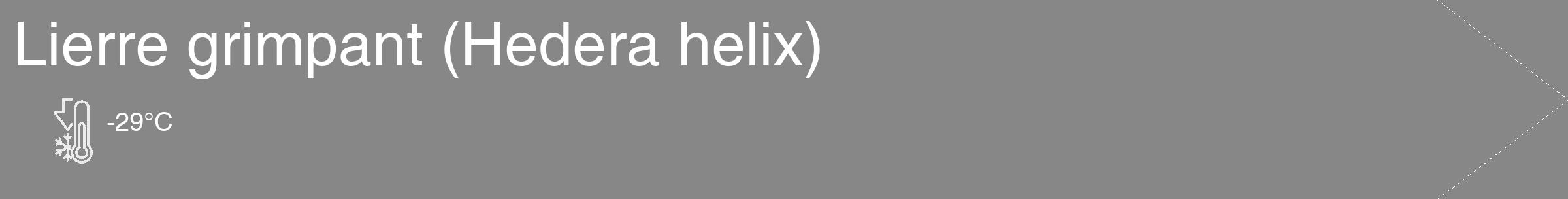 Étiquette de : Hedera helix - format c - style blanche12_simple_simplehel avec comestibilité