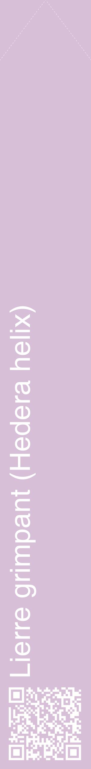 Étiquette de : Hedera helix - format c - style blanche54_simplehel avec qrcode et comestibilité