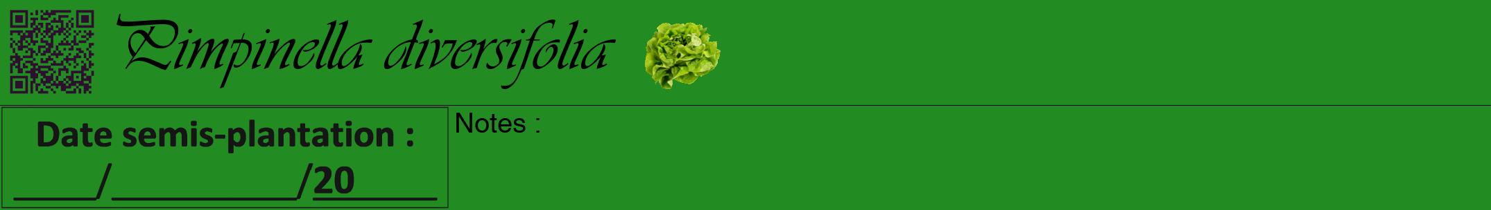Étiquette de : Pimpinella diversifolia - format a - style noire10viv avec qrcode et comestibilité simplifiée