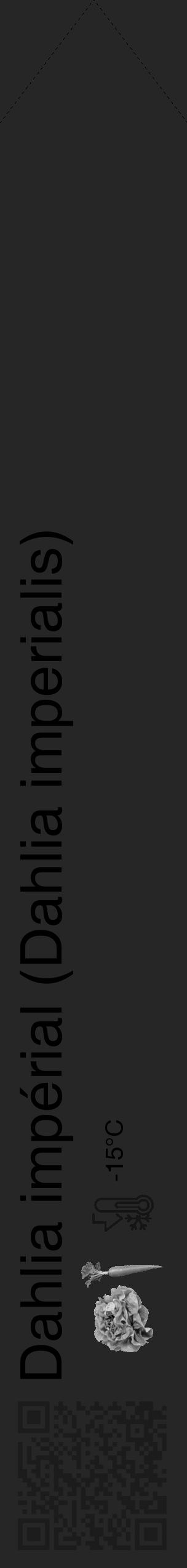 Étiquette de : Dahlia imperialis - format c - style noire29_simple_simplehel avec qrcode et comestibilité simplifiée - position verticale