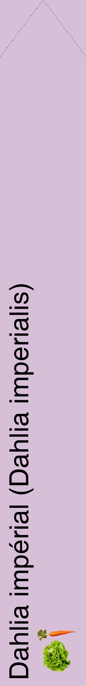 Étiquette de : Dahlia imperialis - format c - style noire54_simplehel avec comestibilité simplifiée