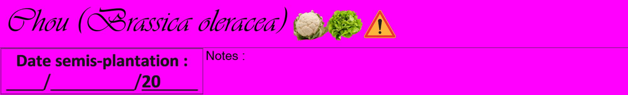 Étiquette de : Brassica oleracea - format a - style noire51viv avec comestibilité simplifiée
