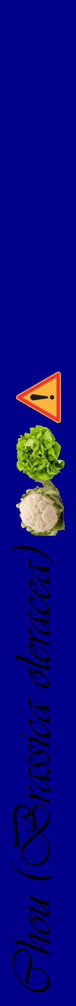 Étiquette de : Brassica oleracea - format a - style noire7viv avec comestibilité simplifiée