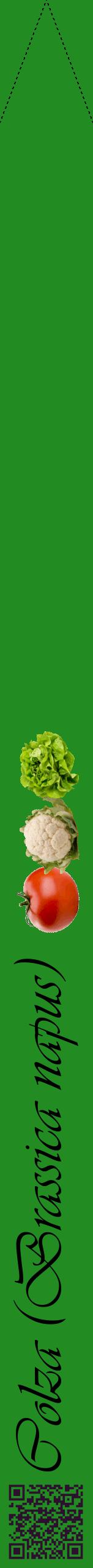Étiquette de : Brassica napus - format b - style noire10viv avec qrcode et comestibilité simplifiée