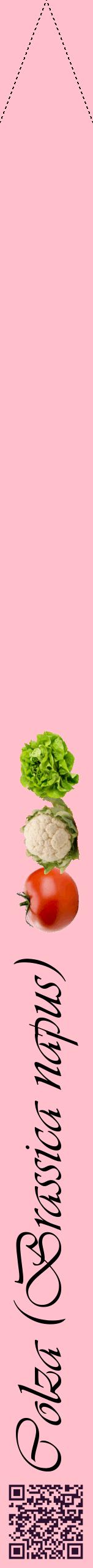 Étiquette de : Brassica napus - format b - style noire40viv avec qrcode et comestibilité simplifiée