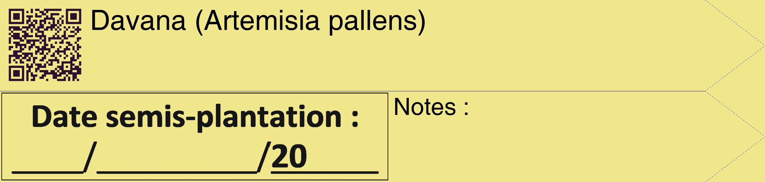 Étiquette de : Artemisia pallens - format c - style noire20_simple_simplehel avec qrcode et comestibilité